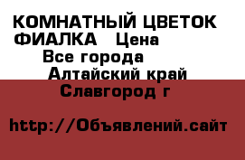 КОМНАТНЫЙ ЦВЕТОК -ФИАЛКА › Цена ­ 1 500 - Все города  »    . Алтайский край,Славгород г.